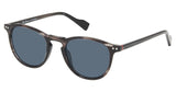 Ben Sherman BSGROVE Eyeglasses