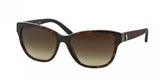 Polo 4093 Sunglasses