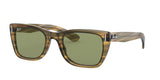 Ray Ban Caribbean 2248 Sunglasses