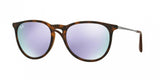 Ray Ban Erika 4171 Sunglasses