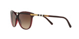 301413 - Bordeaux - Brown Gradient