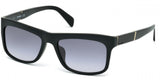 Diesel 0177 Sunglasses