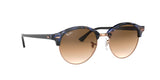 125651 - Havana - Clear Gradient Brown