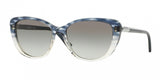 Donna Karan New York DKNY 4121 Sunglasses