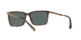 600171 - Dk Tortoise - Green Solid