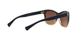 1444T5 - Brown - Brown Gradient Polarized