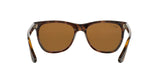 710/83 - Havana - Polar Brown