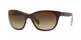 Ray Ban 4216 Sunglasses