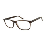 Aristar AR18653 Eyeglasses
