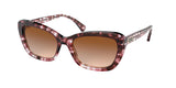 Ralph 5264 Sunglasses