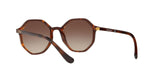 238613 - Brown Gradient