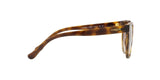 W65613 - Havana - Brown Gradient