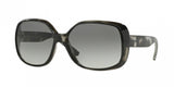 Donna Karan New York DKNY 4101 Sunglasses