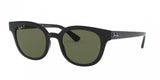 Ray Ban 4324 Sunglasses