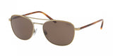 Polo 3107 Sunglasses