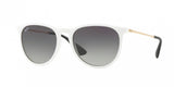 Ray Ban Erika 4171 Sunglasses