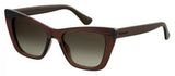 Havaianas Canoa Sunglasses