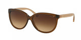 Coach L135 8153 Sunglasses