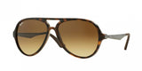 Ray Ban 4235 Sunglasses