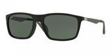 Ray Ban 4228F Sunglasses