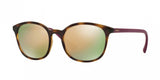 Vogue 5051SF Sunglasses