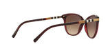 301413 - Bordeaux - Brown Gradient