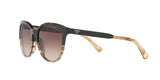 556713 - Brown - Brown Gradient