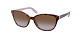 Ralph 5128 Sunglasses