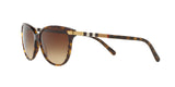 300213 - Havana - Brown Gradient