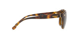 527673 - Havana - Brown