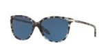 169280 - Blue Tortoise - Blue Solid