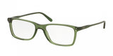 Polo 2155 Eyeglasses