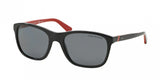 Polo 4085 Sunglasses