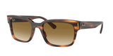 Ray Ban Jeffrey 2190 Sunglasses