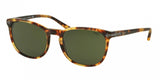 Polo 4107 Sunglasses