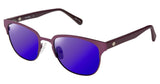 Sperry SPBLUFFPOINT Sunglasses
