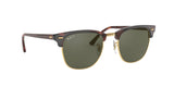 990/58 - Havana - Crystal Green Polarized