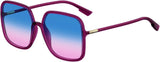 Dior Stellaire1 Sunglasses