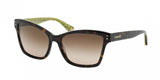 Coach L084 Archie 8107 Sunglasses