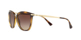 500313 - Gradient Brown