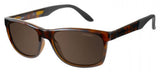 Carrera 8021 Sunglasses