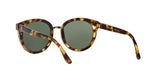 11509A - Havana - Green Solid Polarized