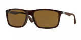 Ray Ban 4228F Sunglasses