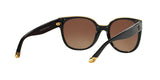 1312T5 - Black - Brown Gradient Polarized