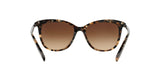 146213 - Brown - Dark Brown Gradient