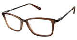 Choice Rewards Preview SPBRIXHAM Eyeglasses