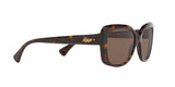 500373 - Shiny Dark Havana - Brown