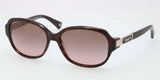 Coach L039 Annette 8039 Sunglasses