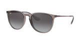 Ray Ban Erika 4171 Sunglasses