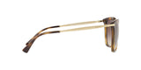 500313 - Gradient Brown
